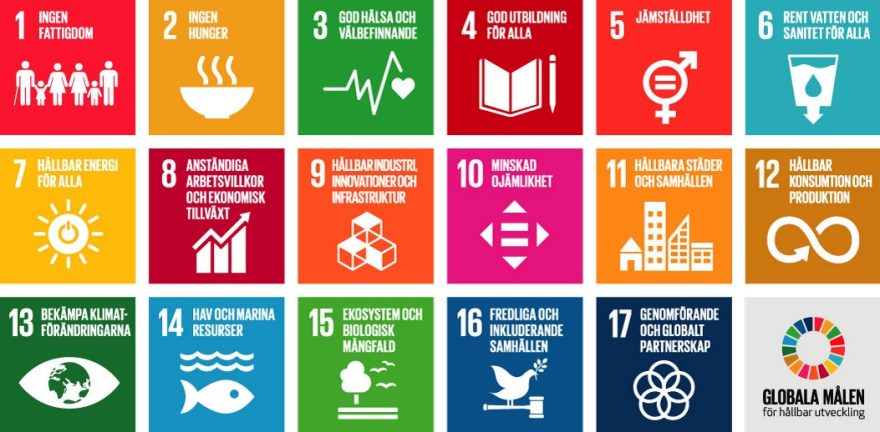 Bild på FNs globala mål